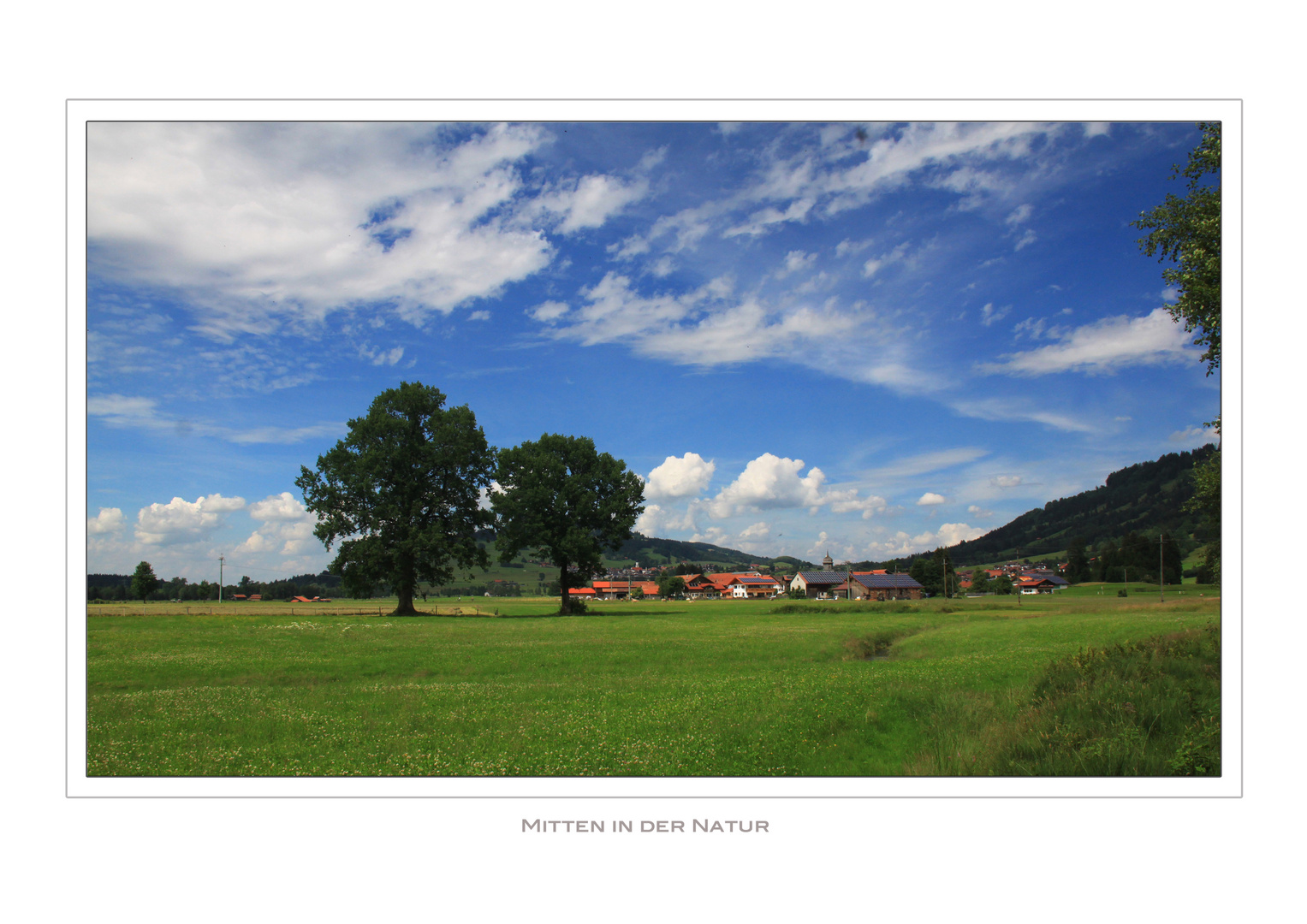 Mitten in der Natur