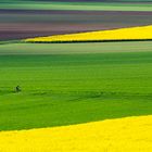 Mitten in der Natur