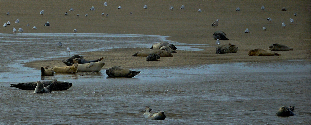 Mitten in der Nordsee ...,