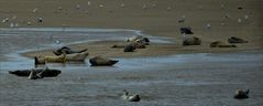 Mitten in der Nordsee ...,