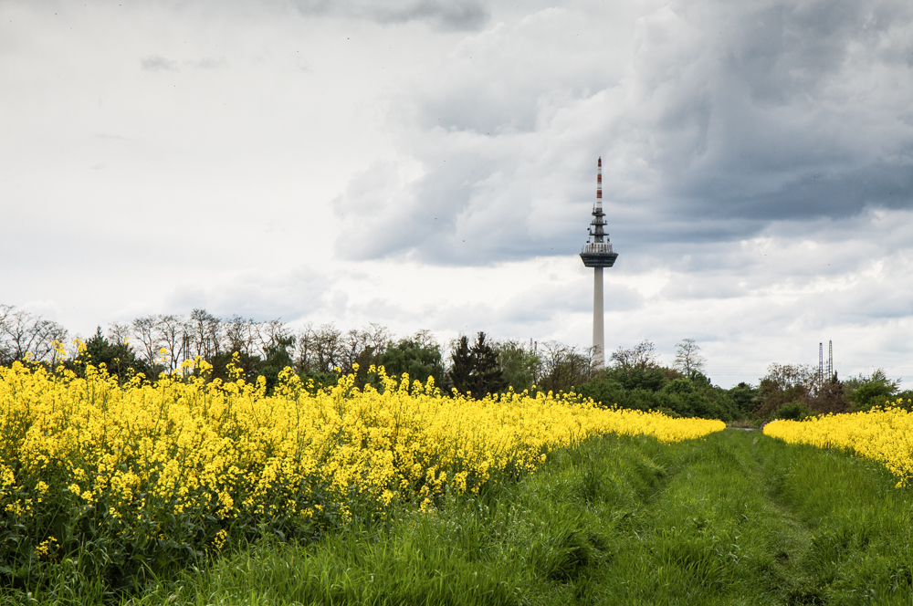 Mitten in der Stadt