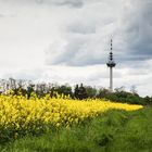 Mitten in der Stadt