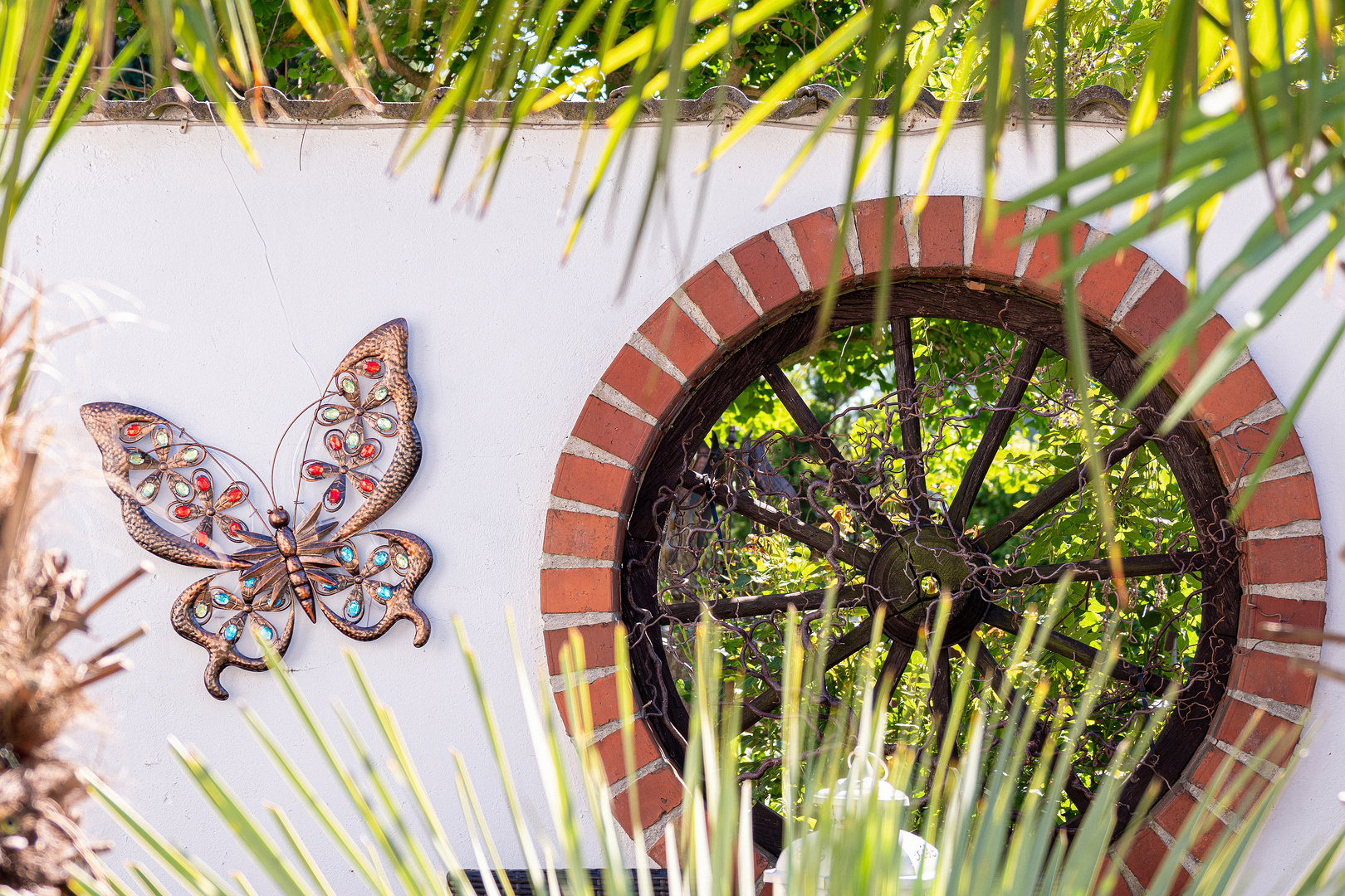 Mitten in der Stadt Foto & Bild natur, schmetterling, garten Bilder