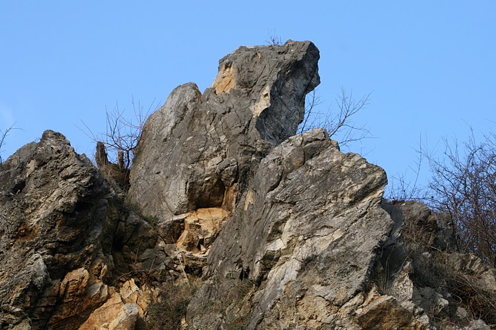 Mitten in der Stadt........