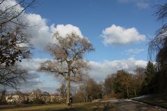 Mitten in der Stadt