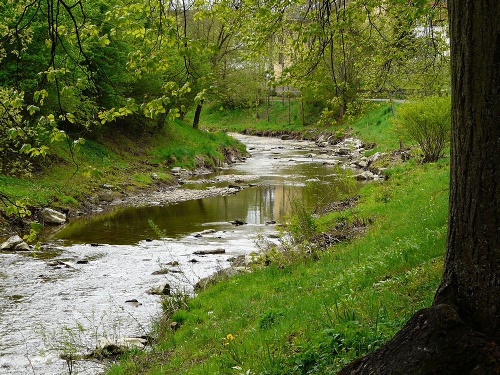 mitten in der Stadt