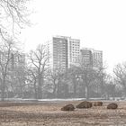 mitten in der Stadt