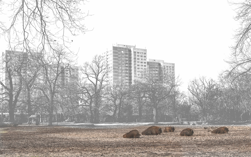 mitten in der Stadt