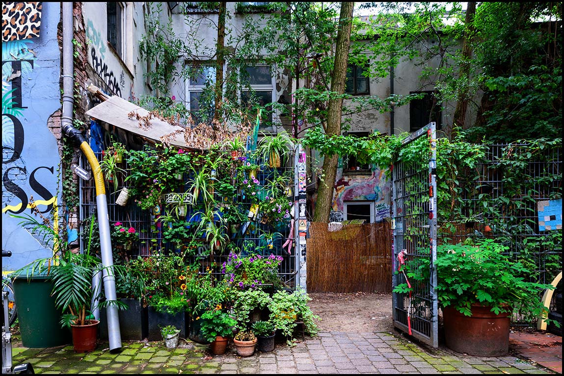 Mitten in der Stadt grünes Gängeviertel Hamburg Foto & Bild