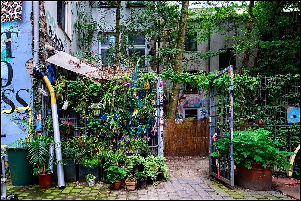 Mitten in der Stadt ... grünes Gängeviertel Hamburg