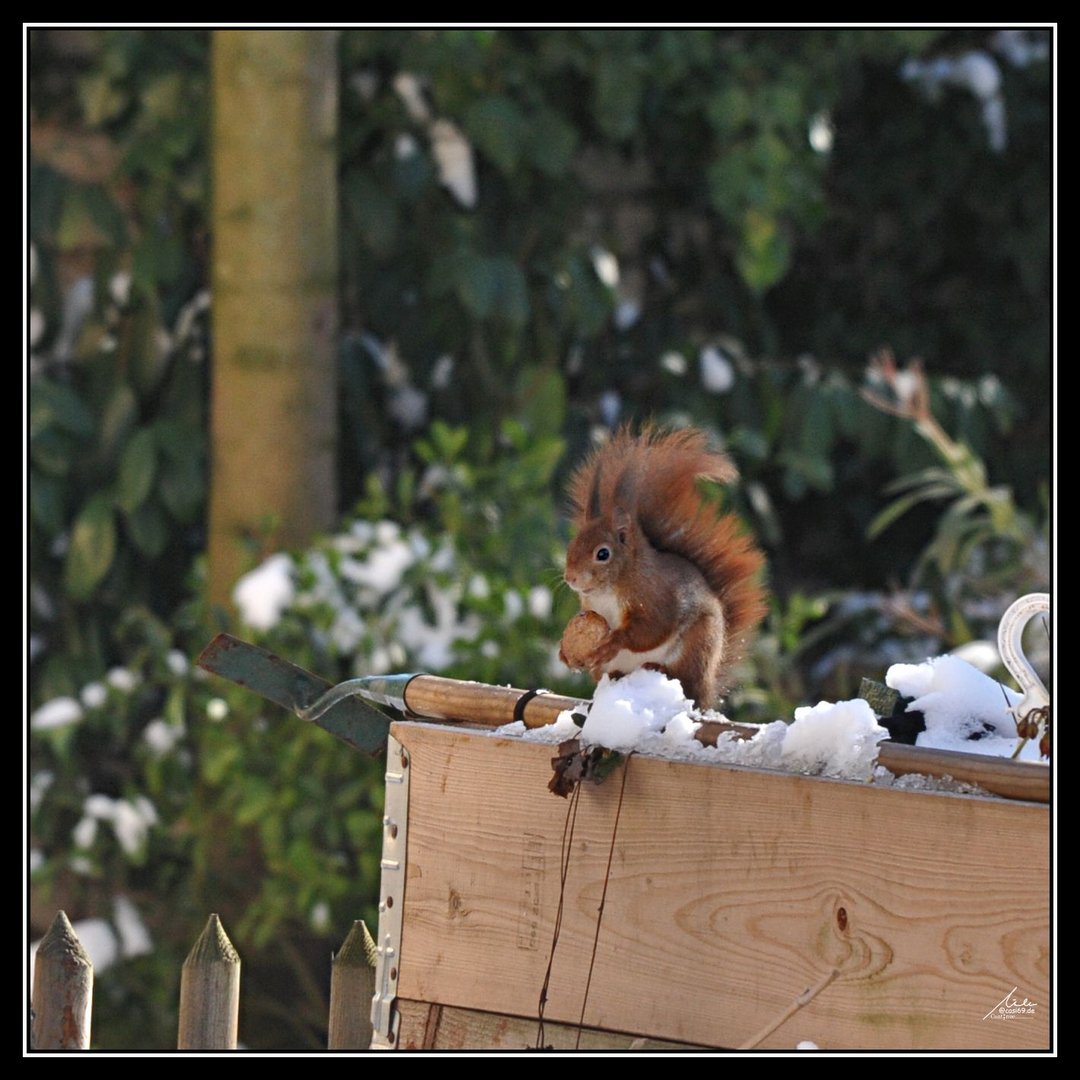 Mitten in Duisburg....