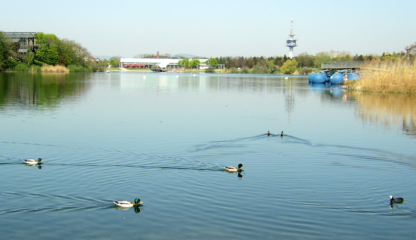 Mitten in Freiburg der Seepark für Mensch und Tier.