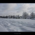 ~ Mitten in Hamburg ~