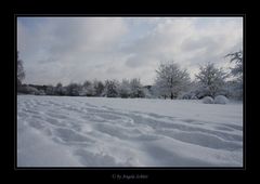 ~ Mitten in Hamburg ~