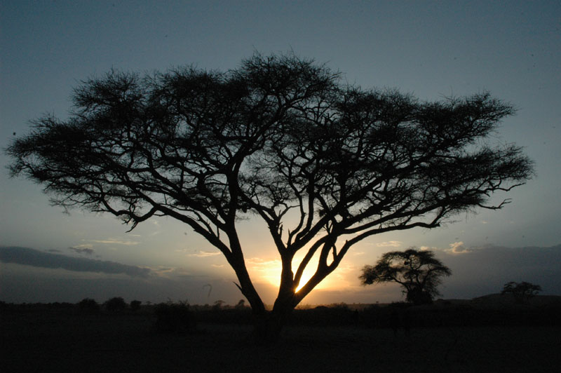 Mitten in Kenia