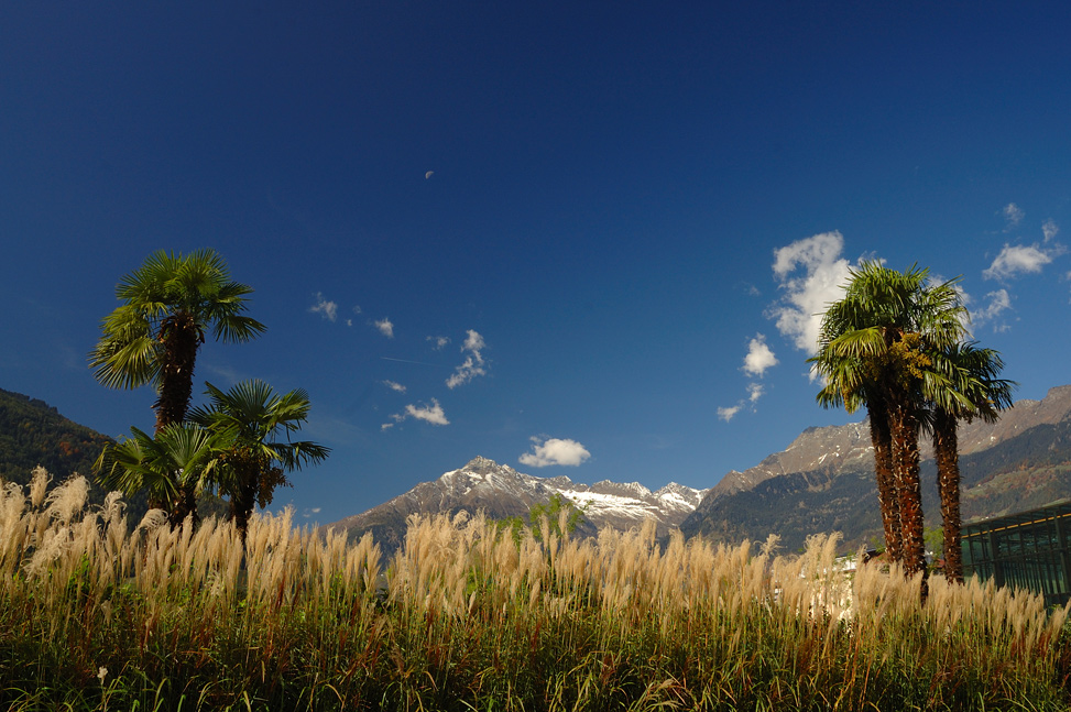 Mitten in Meran