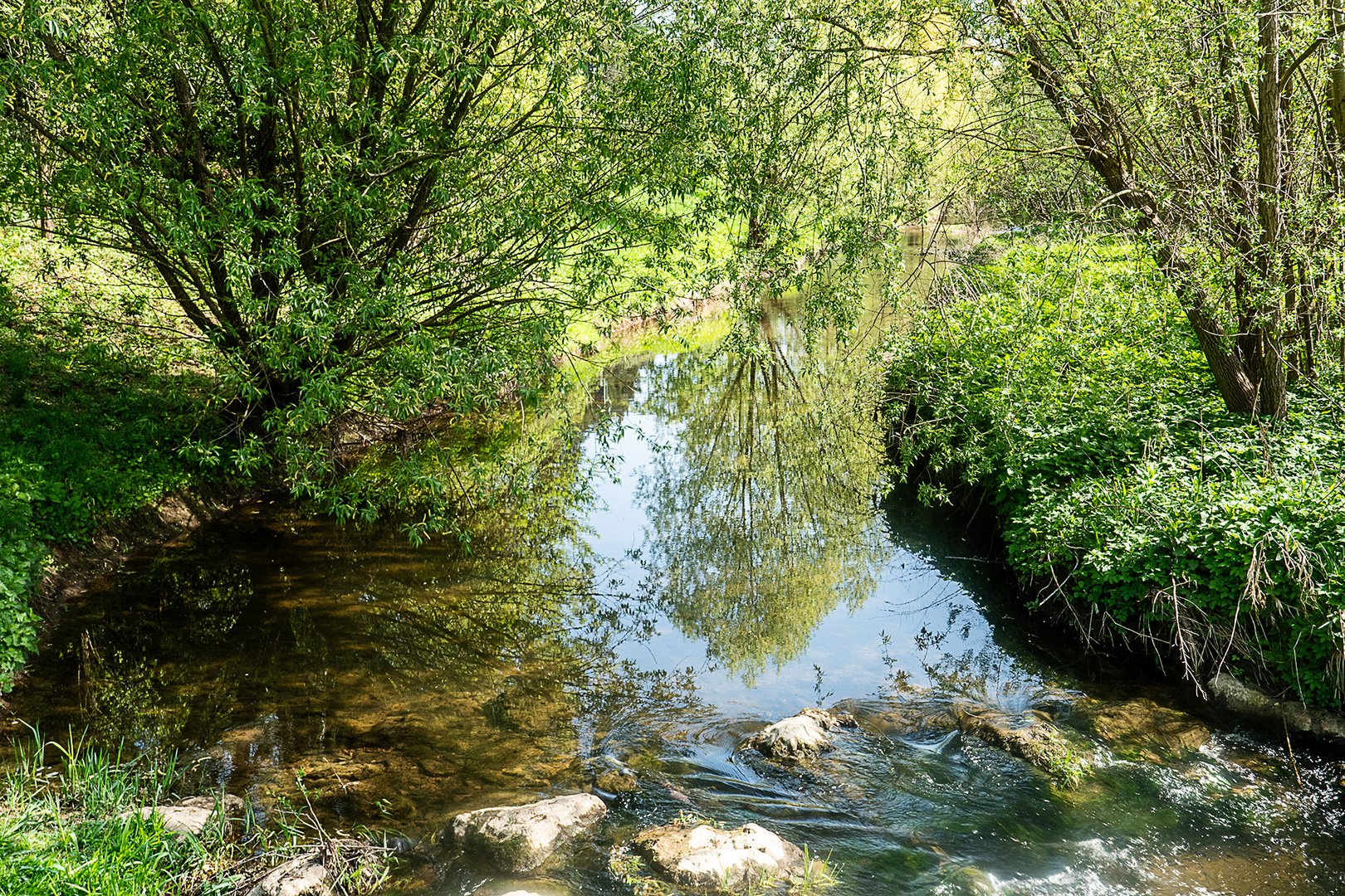 Mitten in Schwäbisch Gmünd - Au milieu du Schwäbisch Gmünd