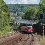 Mitten in Wuppertal (1)