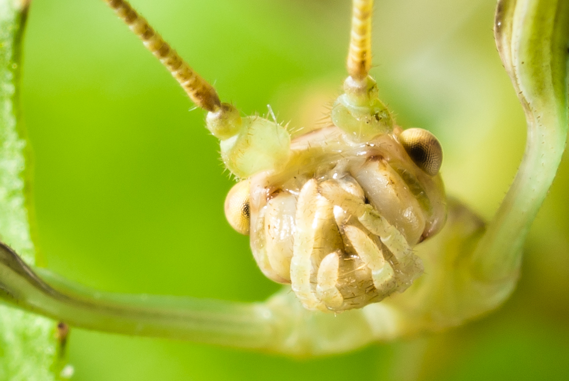 Mitten ins Gesicht