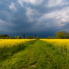 Mitten ins Gewitter rein