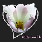 "Mitten ins Herz"