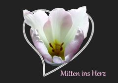 "Mitten ins Herz"