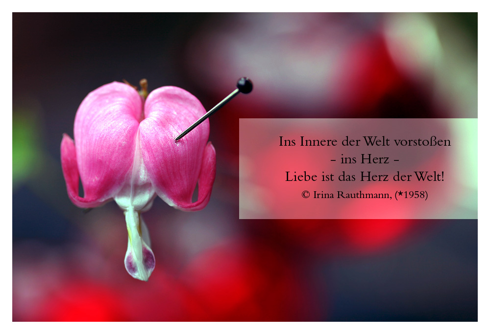 Mitten ins Herz Foto & Bild emotionen, liebe, spezial Bilder auf