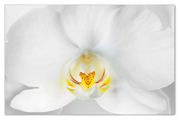 Mitten ins Herz geschaut ...