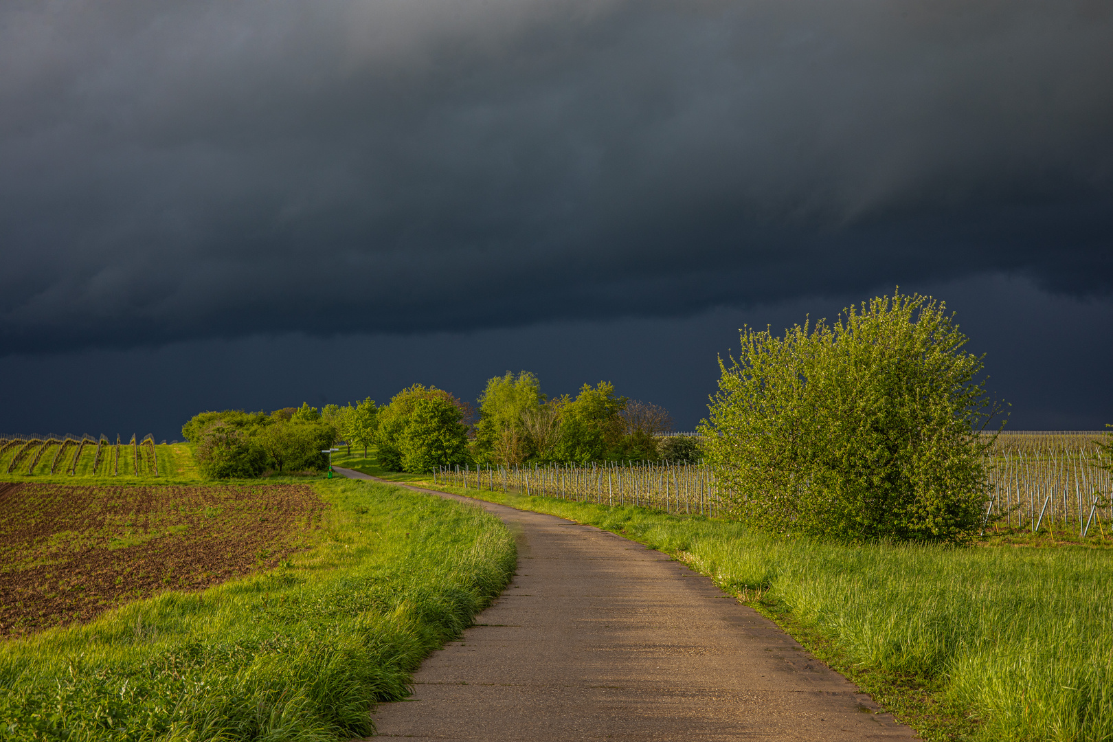 Mitten rein in den Regen