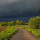 Mitten rein in den Regen