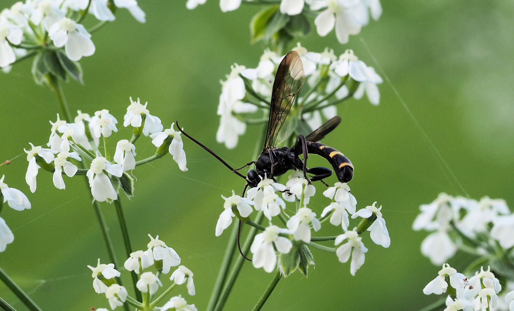 Mittendrin …