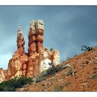 mittendrin: bryce NP