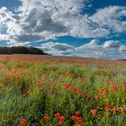  Mittendrin mit Blauem Himmel 2