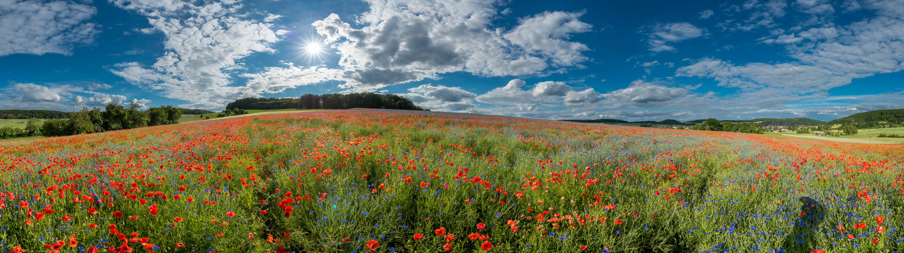  Mittendrin mit Blauem Himmel 2