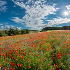 Mittendrin mit Blauem Himmel 3