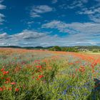 Mittendrin mit Blauem Himmel 4