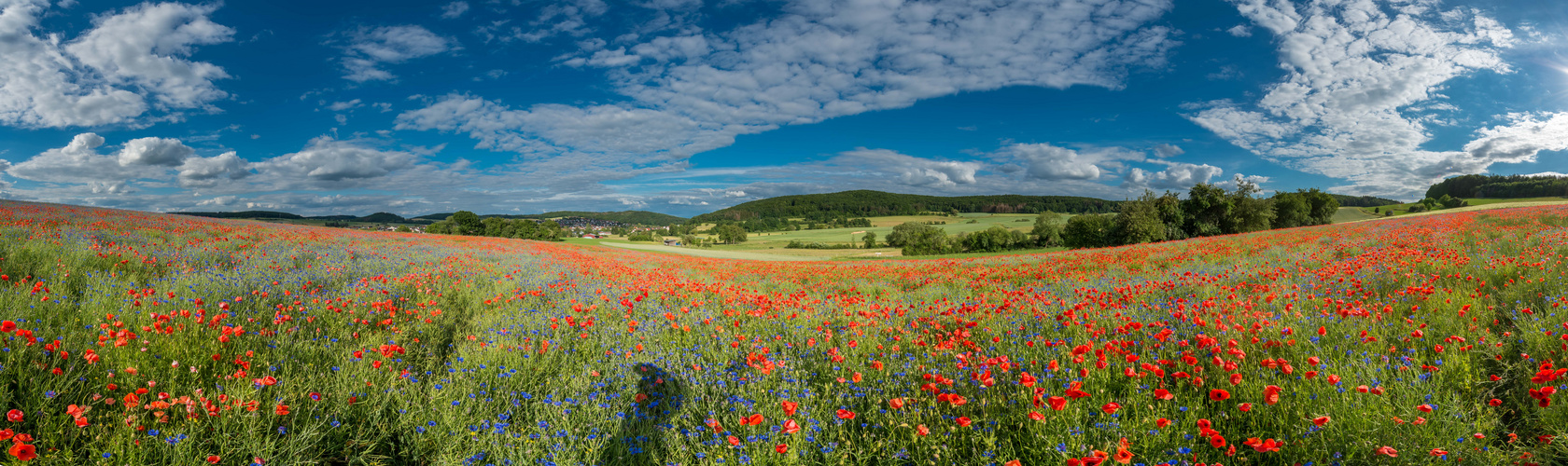 Mittendrin mit Blauem Himmel