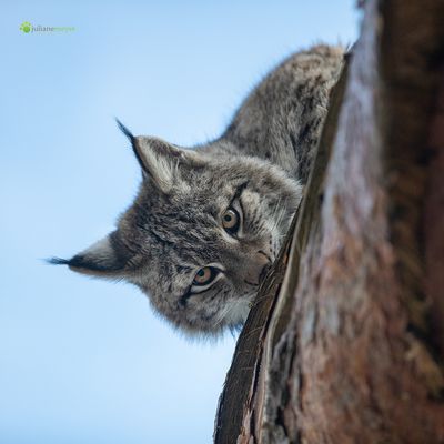Mittendrin statt nur dabei