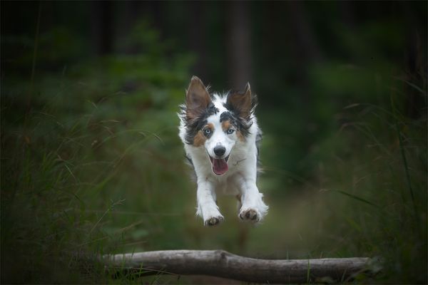 Mittenrein in den Mittwoch!