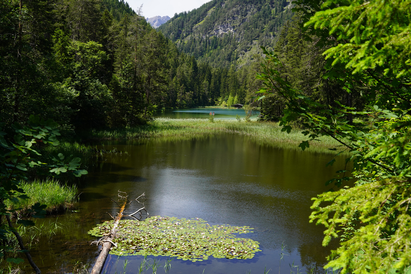 mittensee