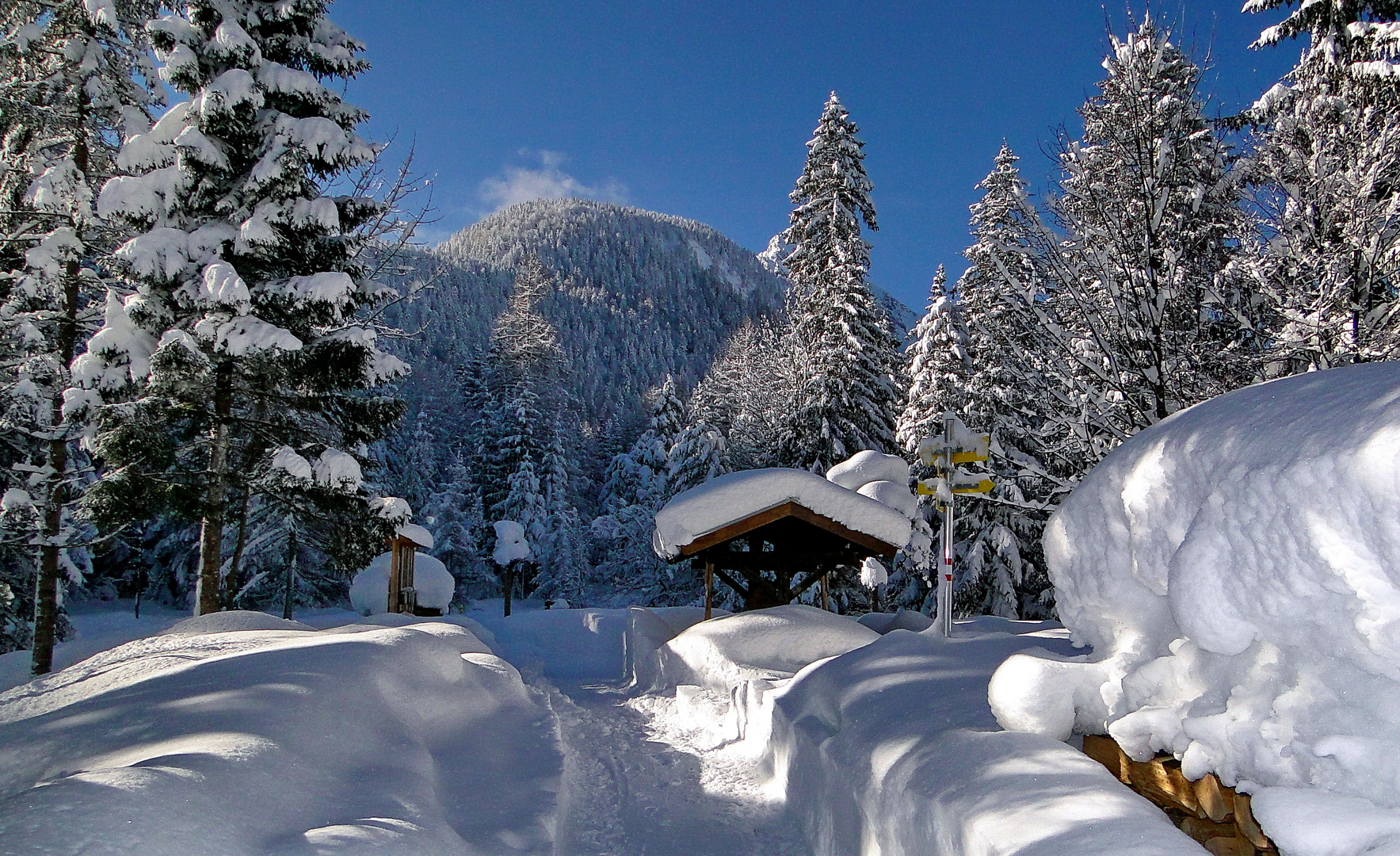 Mittenwald