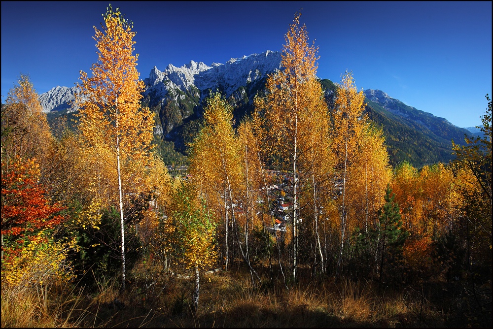 ~ MITTENWALD hinter HERBSTWALD ~