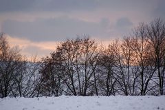 Mittermarchenbach in der Abenddämerung