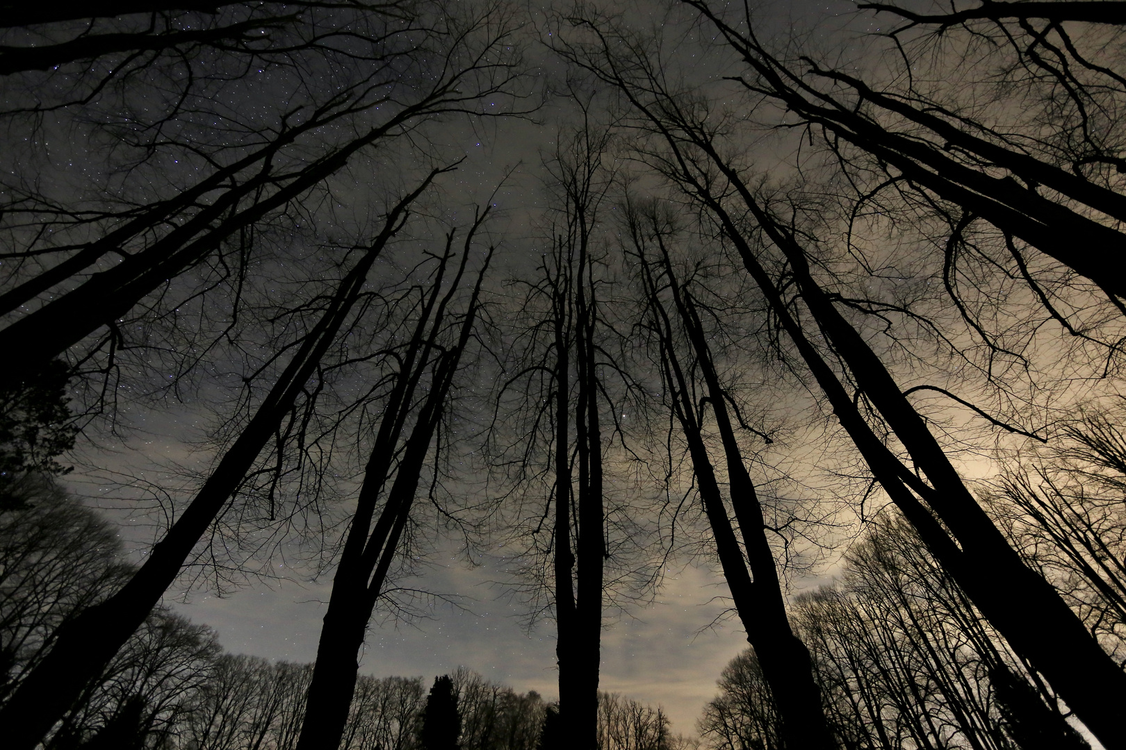 Mitternacht auf dem Friedhof