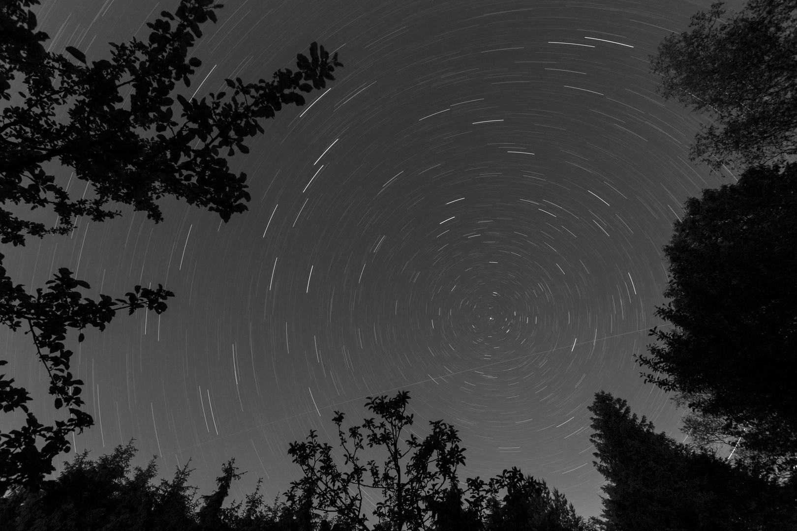 Mitternacht im Garten