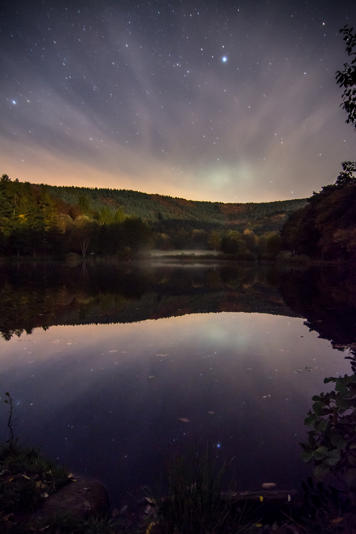 Mitternacht im Pfälzerwald (reload)