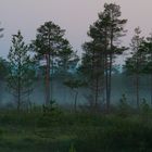 Mitternachts Nebel