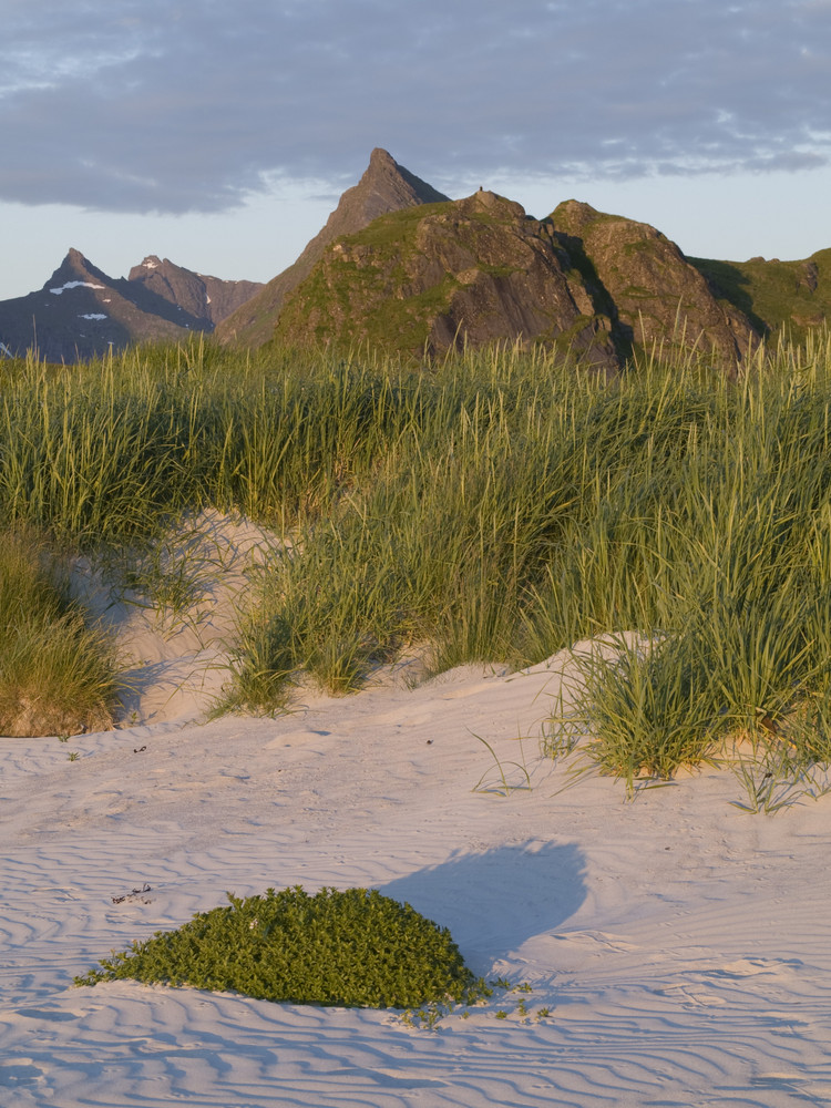 Mitternachtssonne am Strand von Leknes