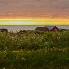 Mitternachtssonne auf den Lofoten