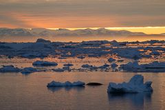 Mitternachtssonne über der Bucht von Ilulissat